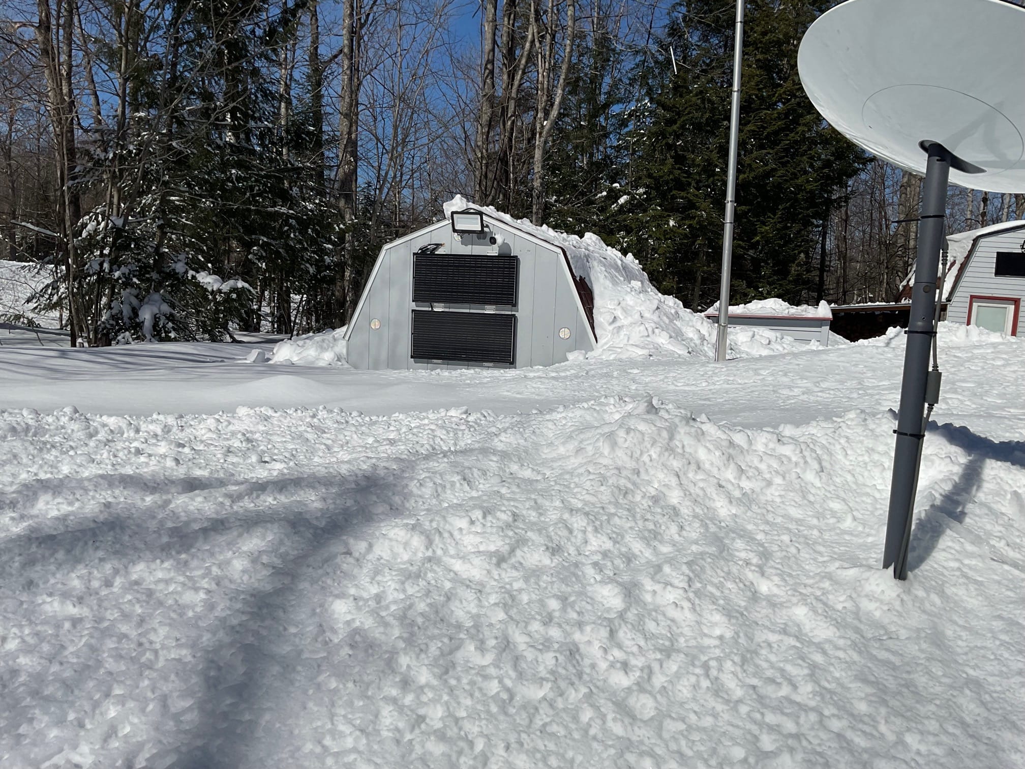 snow1.jpg